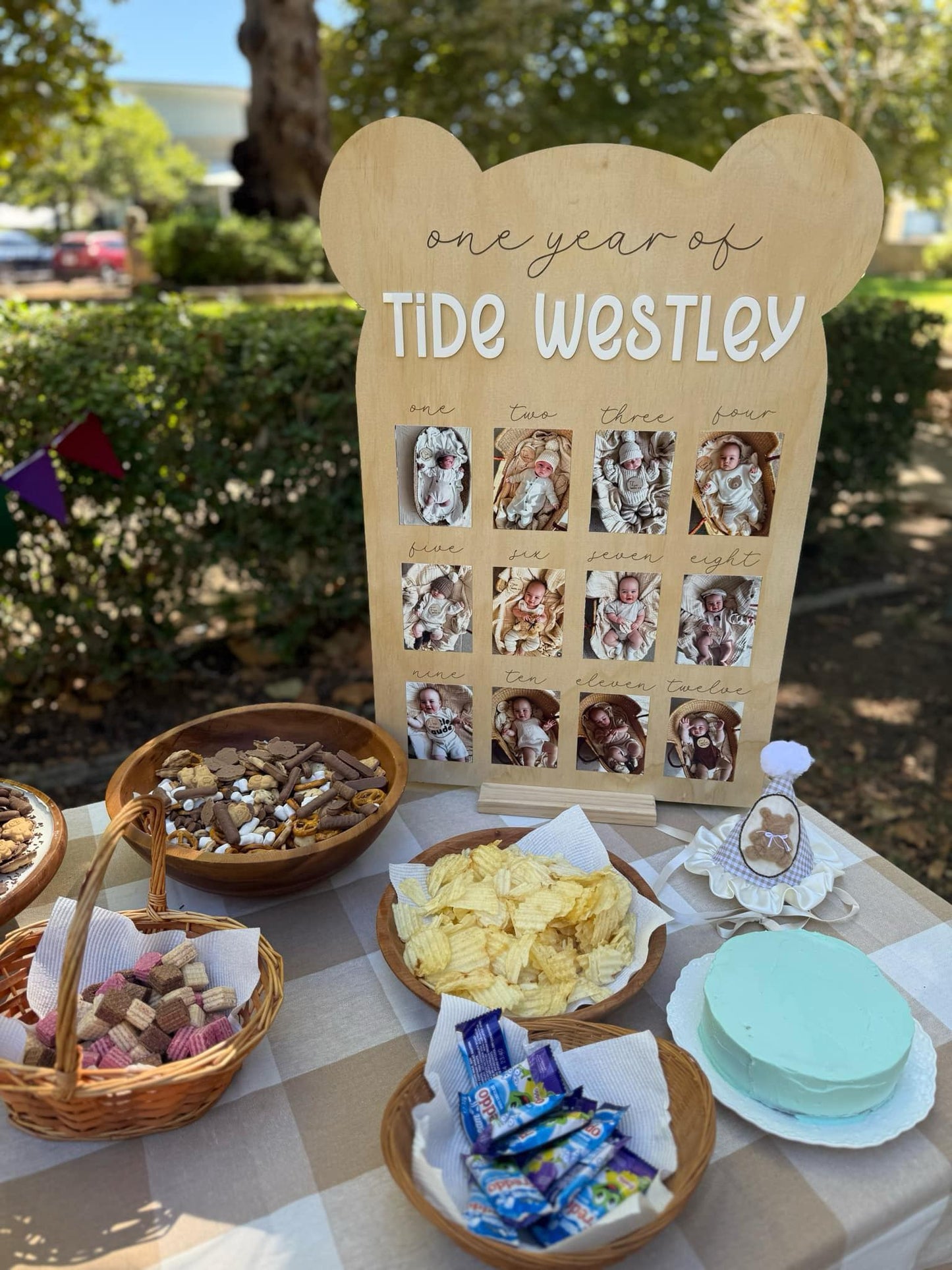Beary First Birthday - Photo Board